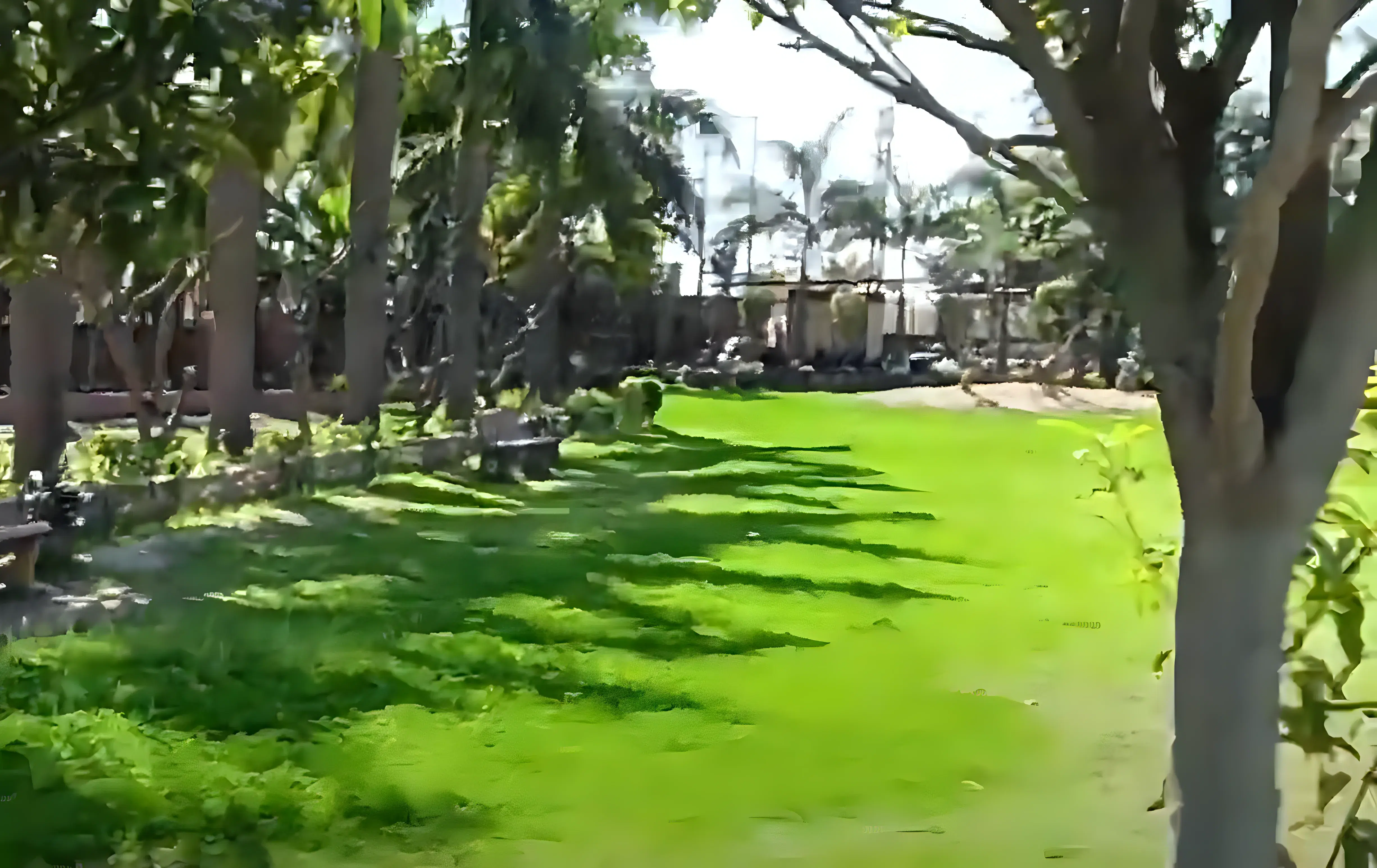 DIET Meerut campus photo 9